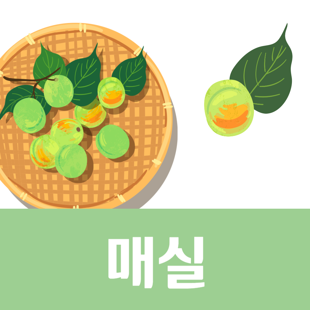 매실 효능 부작용