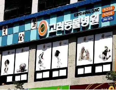 고려동물병원