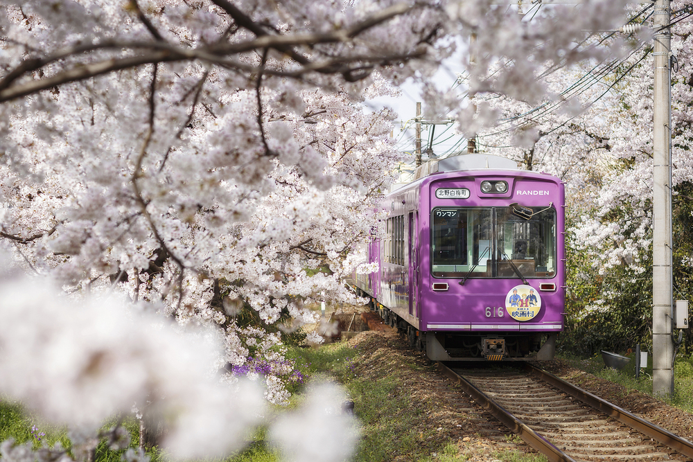 일본여행준비물 004