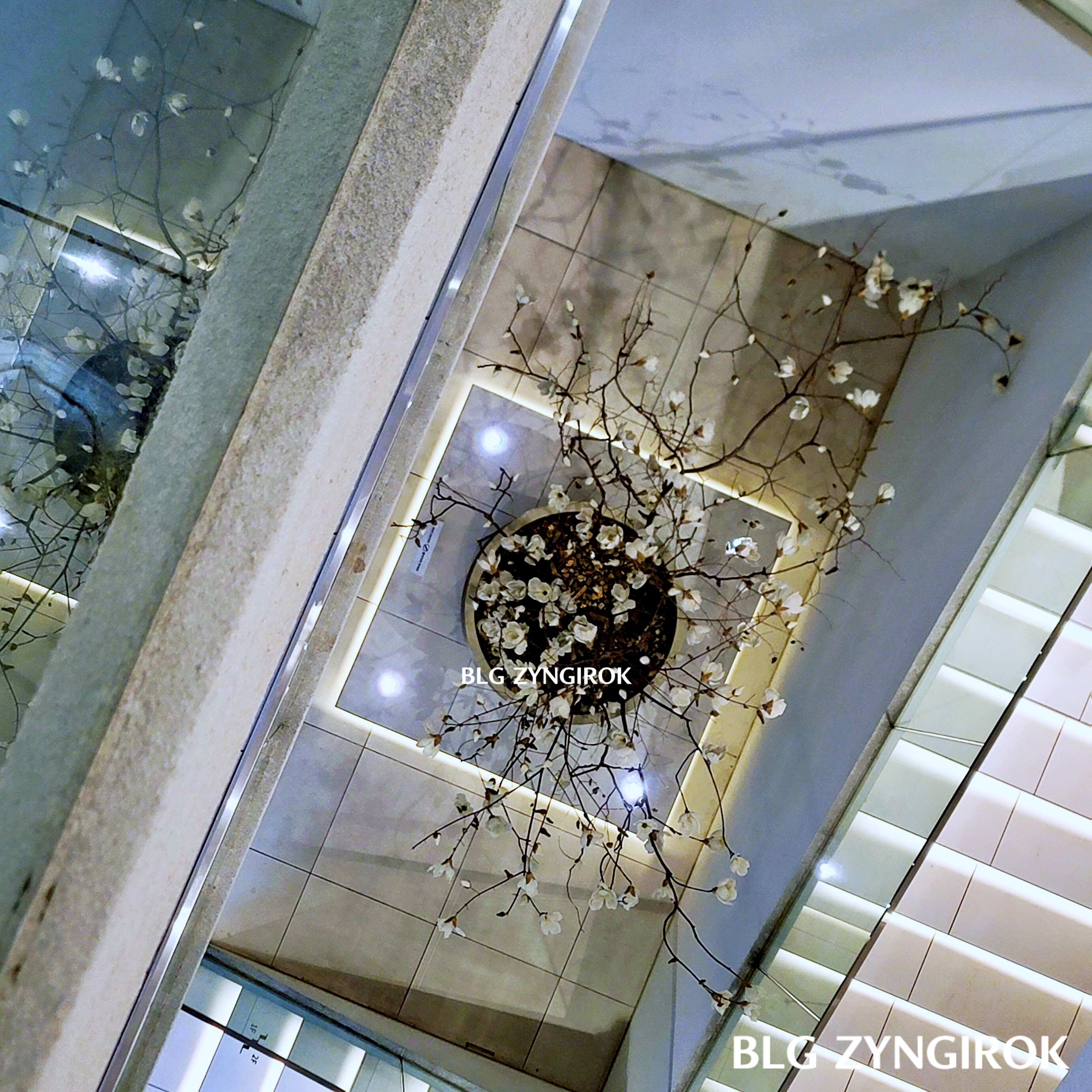 아나키아 계단 모습이다.