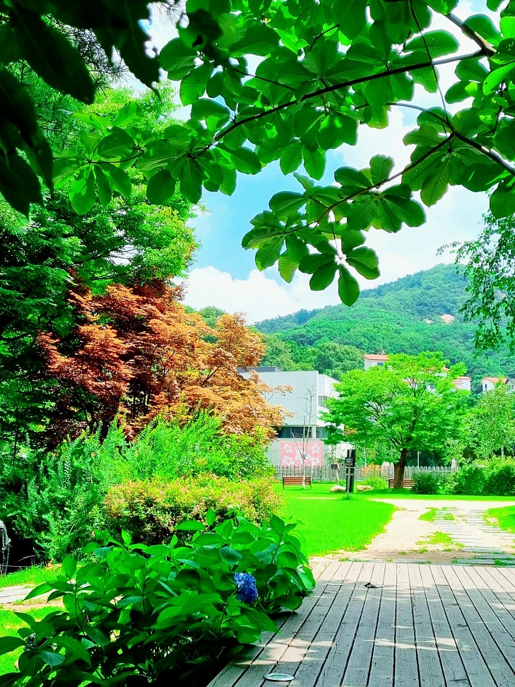 서울근교 계곡 추천: 송추계곡 맛집, 자연을 담은 양주 헤세의 정원