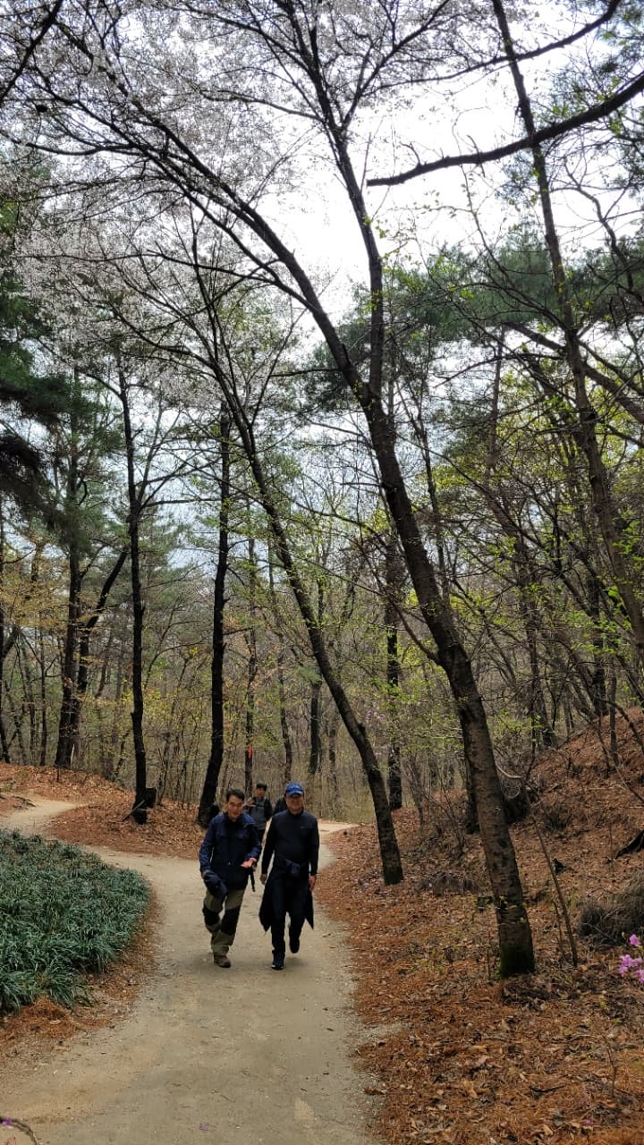 호암산 숲길 – 걷기 좋은 코스