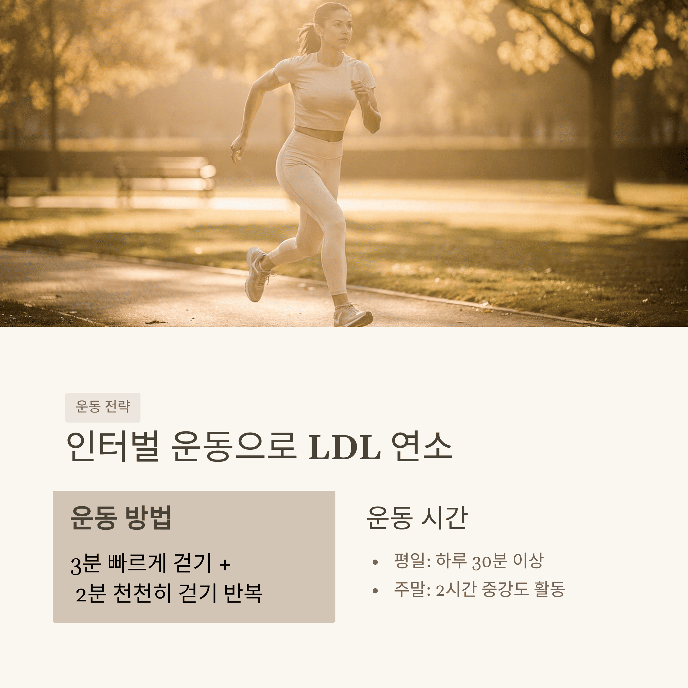 고지혈증 약 없이 낮추는 법