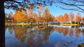 담양 맛집 베스트10 진짜 현지인만 아는곳_3