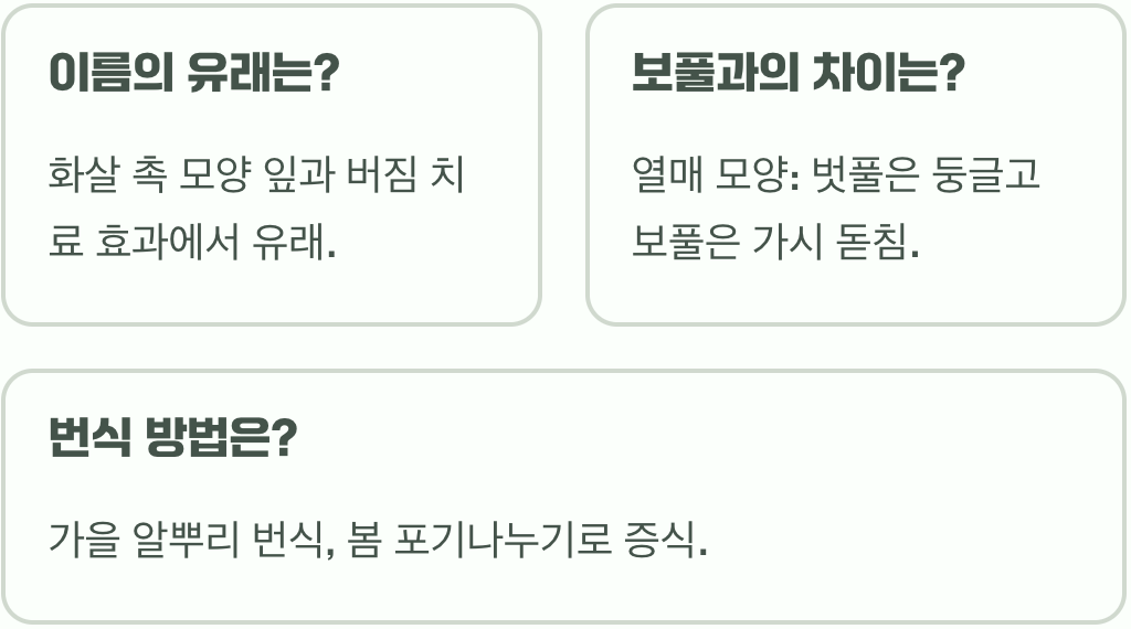 연못의 주인공, 벗풀 키우기 A to Z (수생식물 재배법)