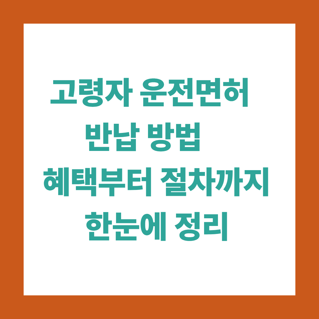 고령자 운전면허 반납 방법|혜택부터 절차까지 한눈에 정리