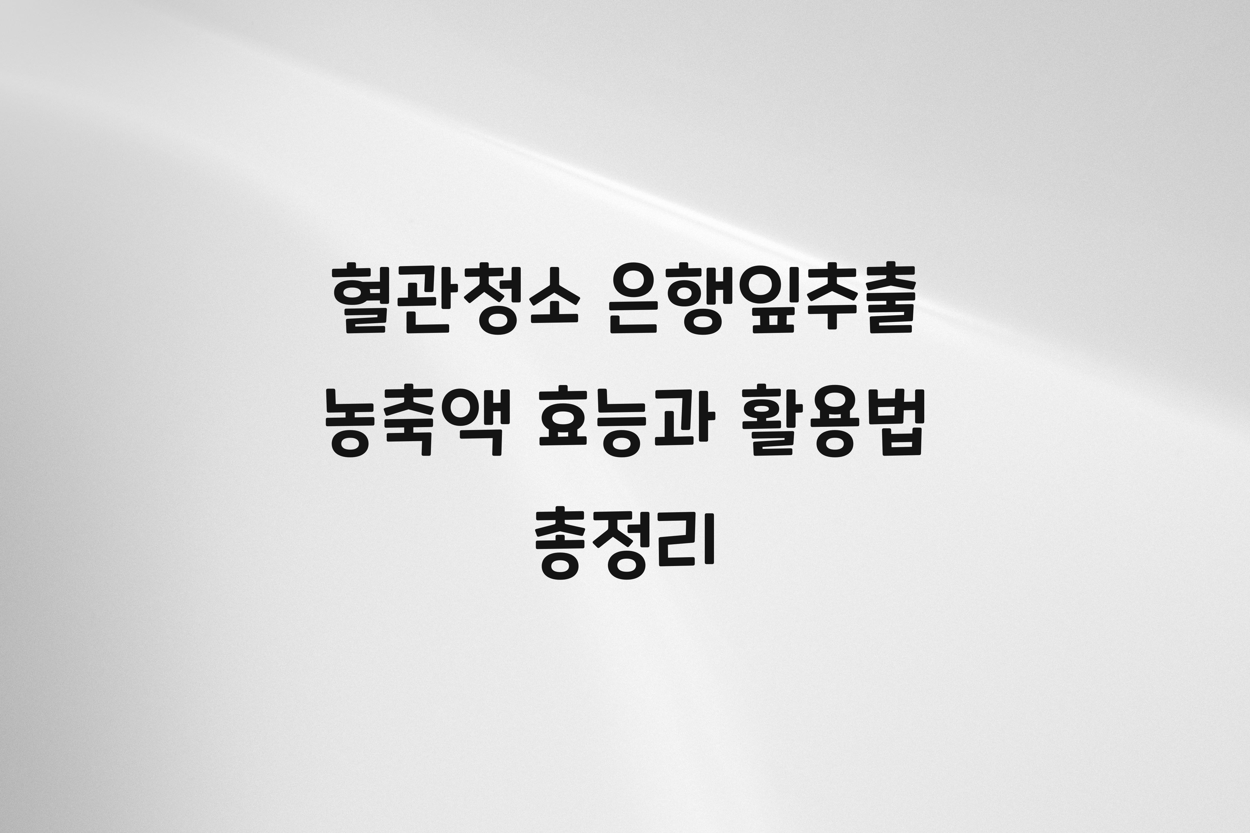 혈관청소 은행잎추출 농축액