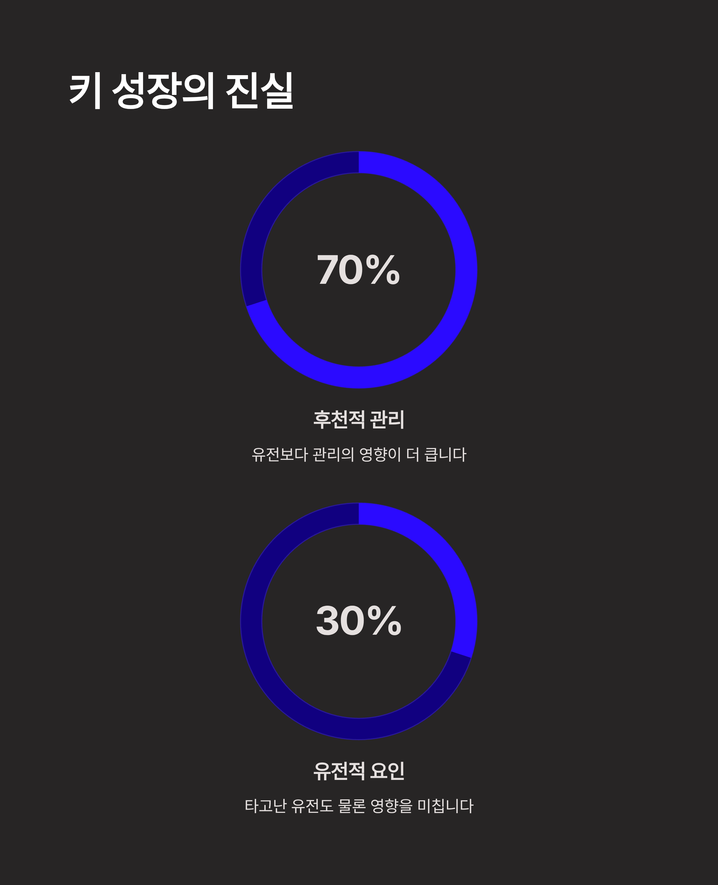 알파아이 후기