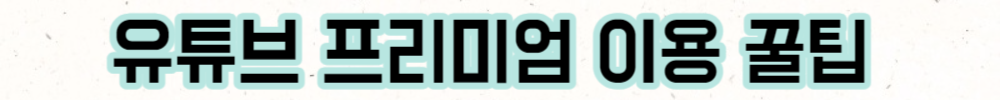 유튜브 프리미엄 이용할 때 꿀팁