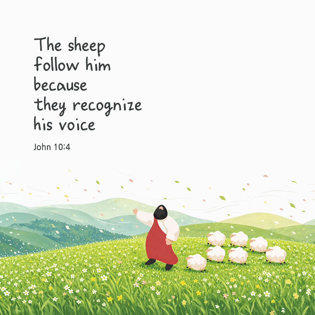 Today's Bible verse card John 10:4 scripture image