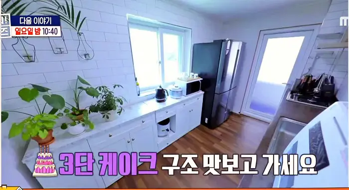 구해줘홈즈 서울 신촌역 30분 내외 전세 2억 1인가구 닥투룸이어 베산임수향 하우스 뷰가빵빵한집 이태원 옵션하나할래요 나는 방하나로 충분해 베이킹받는 집 김포 프렌치아파트 매물