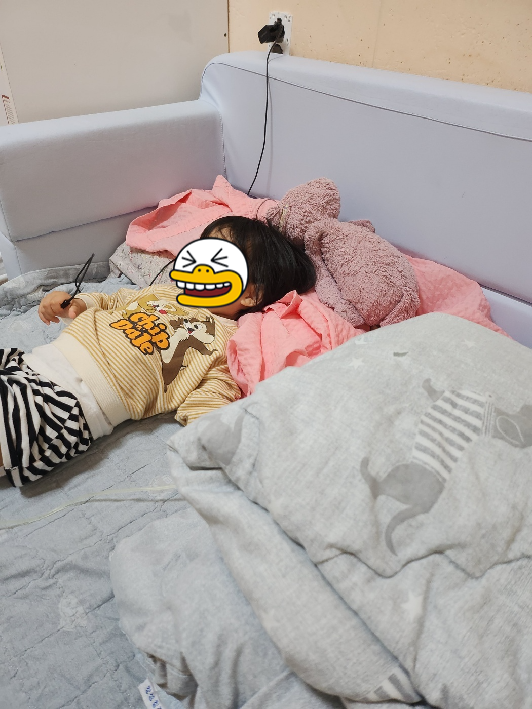 아이장염 캄필로박터균