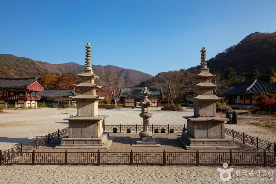 장흥 가볼만한곳 베스트10