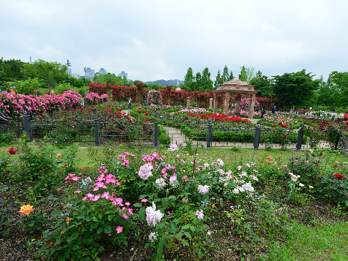 대전 아이랑 갈만한곳 수목원 나들이 장소 추천
