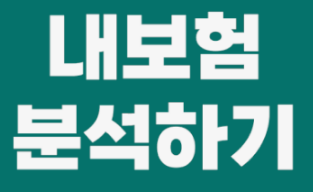 내보험 분석하기