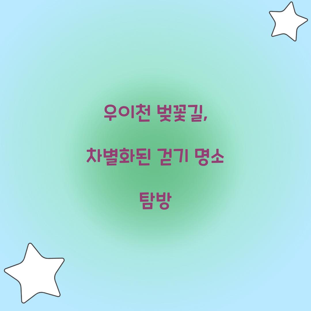 우이천 벚꽃