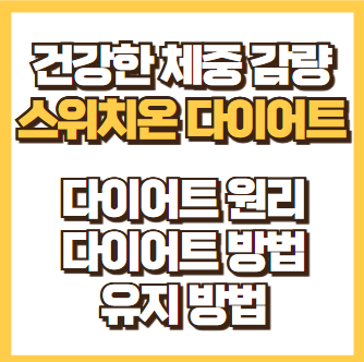 스위치온 다이어트
