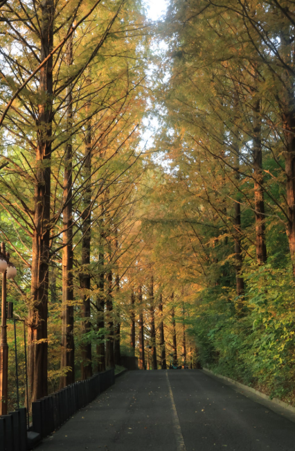 조경이 아름다운 국내 캠퍼스 3곳