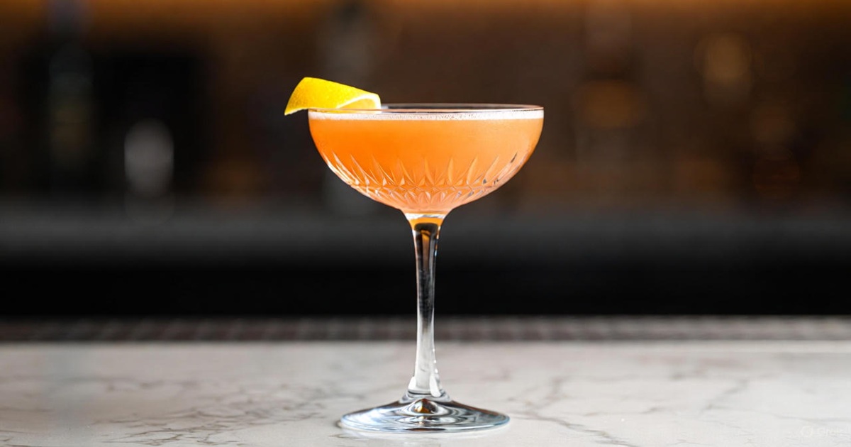 페이퍼 플레인 황금 레시피 & 스토리 및 완벽한 안주 추천