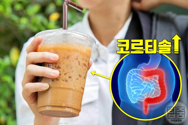 장염 걸리는 이유 만성장염 원인 장내 미생물 불균형 카페인 부작용 코르티솔
