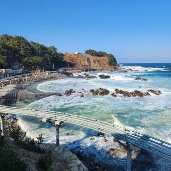 울진 가볼만한곳 베스트10 현지인 추천 필수코스_15