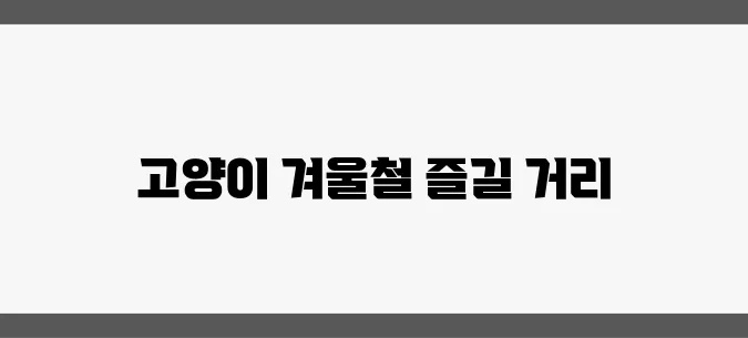 겨울철 완벽한 고양이 숨숨집과 스크래쳐 비교 분석입니다.