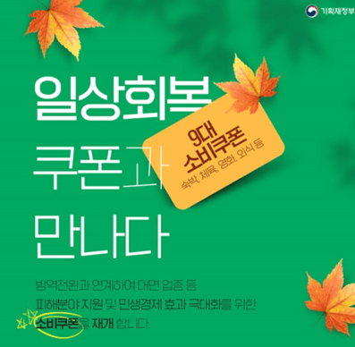 정부 소비쿠폰