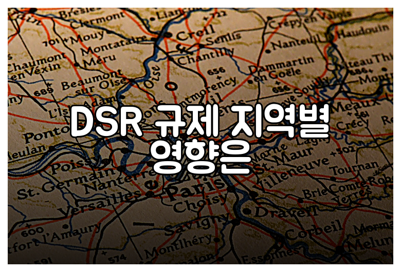 DSR 규제 지역별 영향은