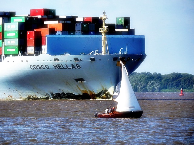 DHL 배송 조회 방법