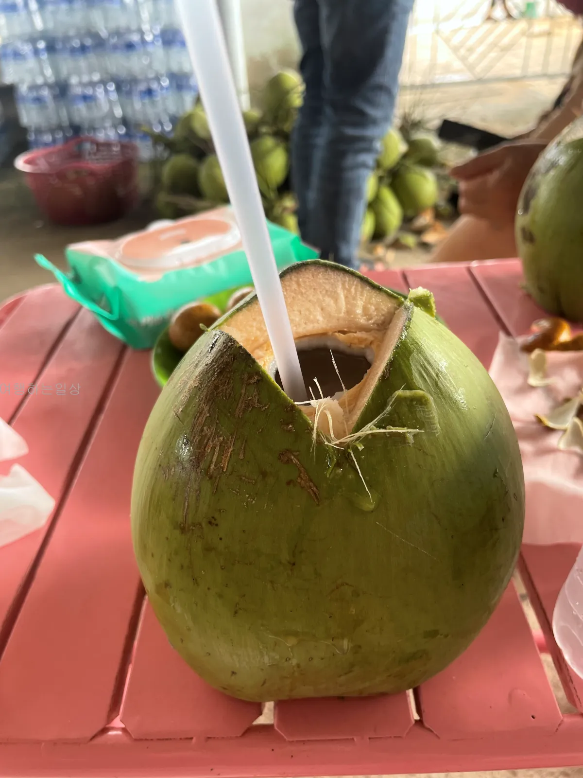 나트랑-판랑-사막투어-가족여행-눈치게임-대성공-핑크지프-모래썰매-만족후기(일정,경비정리)