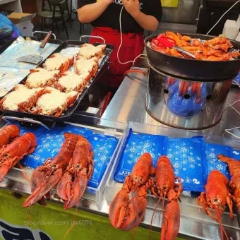 속초 가볼만한곳 베스트10 정리_23