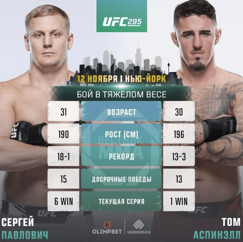 UFC 295 파블로비치 아스피날