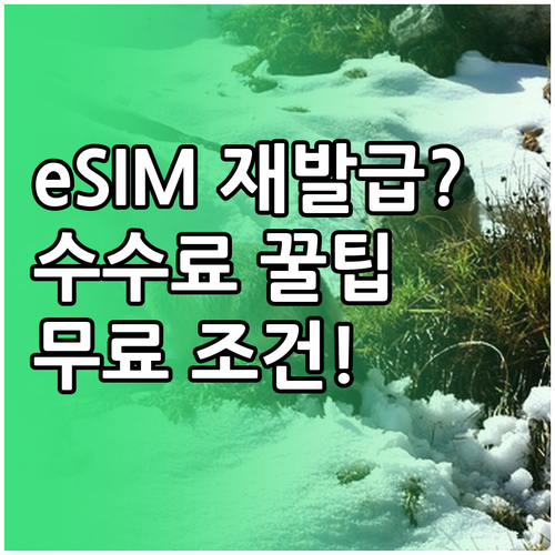 eSIM 재발급 수수료와 무료 조건..