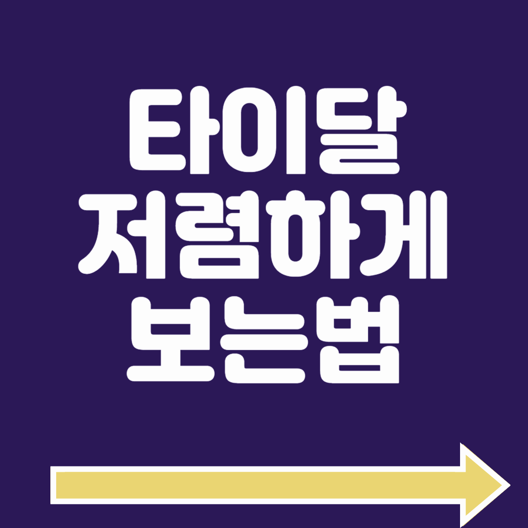 타이달 아르헨티나 우회 VPN 막힘 해결방법