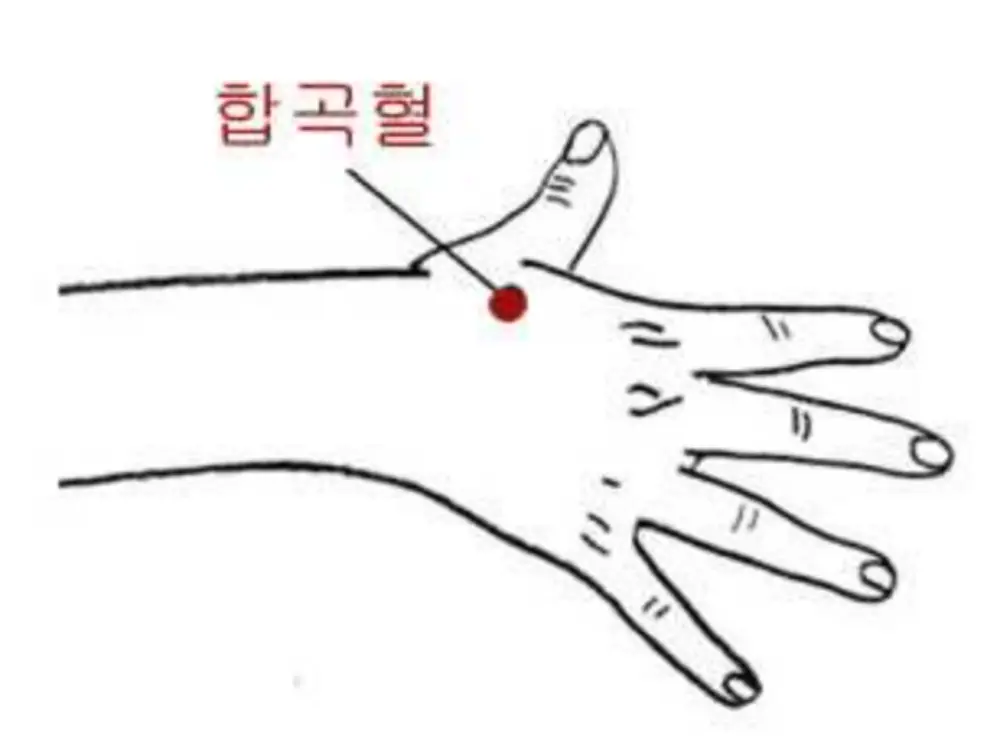 합곡혈