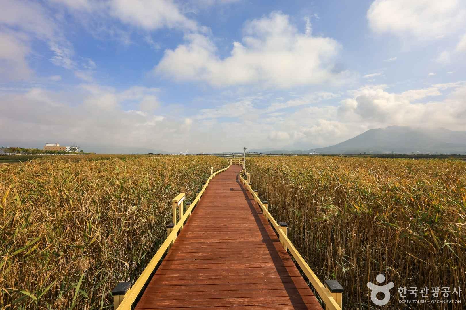 강진 가볼만한곳 베스트10