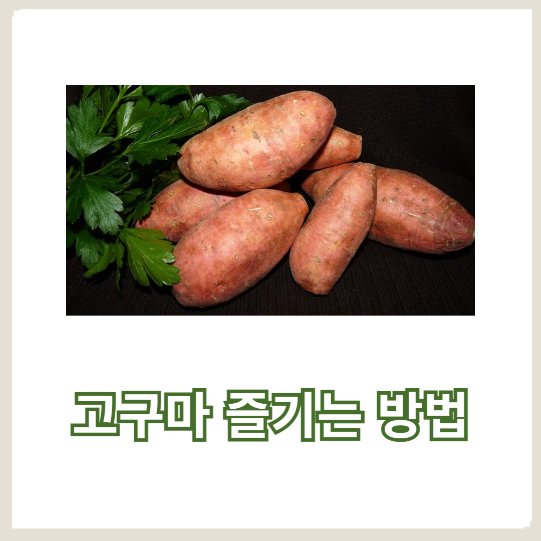 다이어트와 혈당 조절에 탁월한 고구마: 건강하게 즐기는 방법