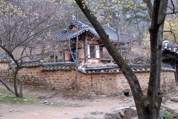 25년 4월 봄꽃여행지추천!!벚꽃 &amp; 유채꽃 절정! 봄꽃 여행지 BEST 6