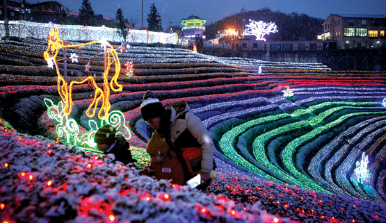 크리스마스 데이트코스 추천 보성 녹차밭