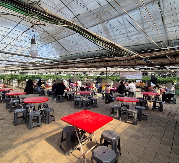 딸기 체험 설명