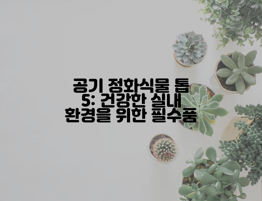 공기 정화식물 톱 5: 건강한 실내 환경을 위한 필수품
