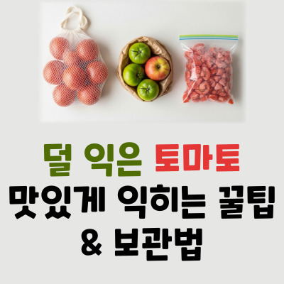초보도 성공! 토마토 물러짐 방지, 상태별 최적 보관법 대공개