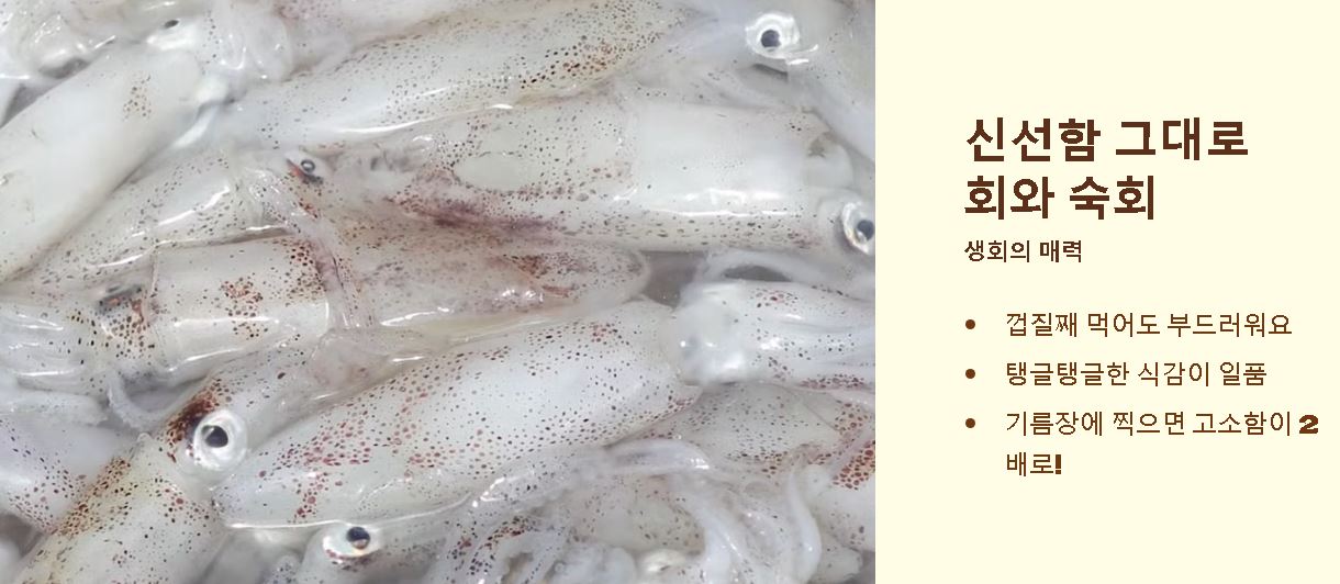 호래기 요리 ❘ 종류 활용법