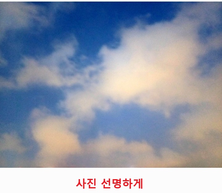 선명해진 사진 보임