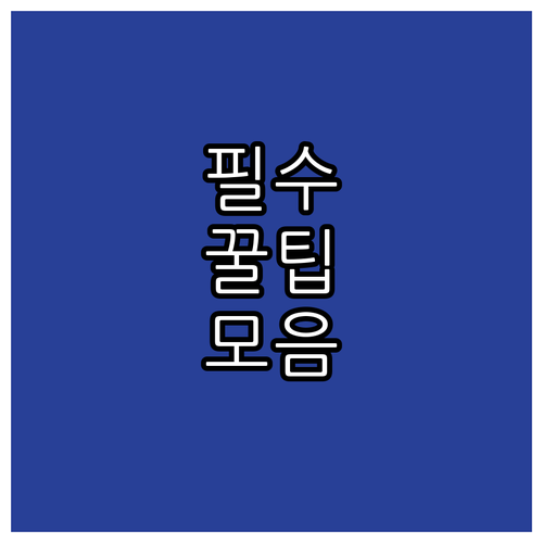 2025 양양군 지적 자폐성 장애인 ..