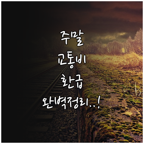 대중교통 이용 횟수에 따른 모두의 카..