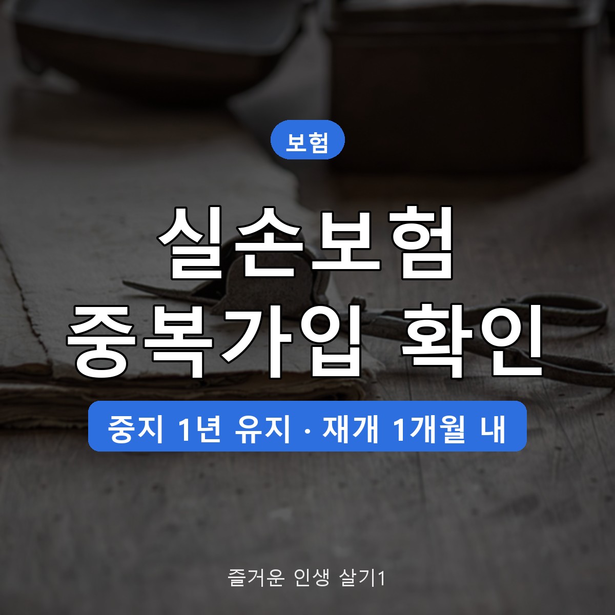 실손보험 중복가입 확인 방법, 회사 단체실손 있으면 중지·재개 조건