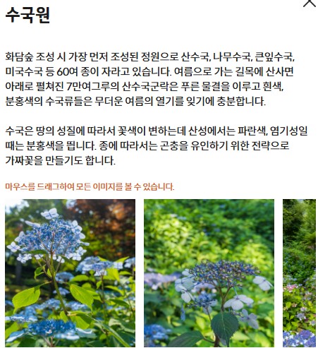 수선화 축제
