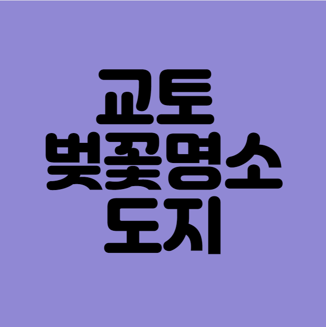 교토 벚꽃 명소 도지 섬네일
