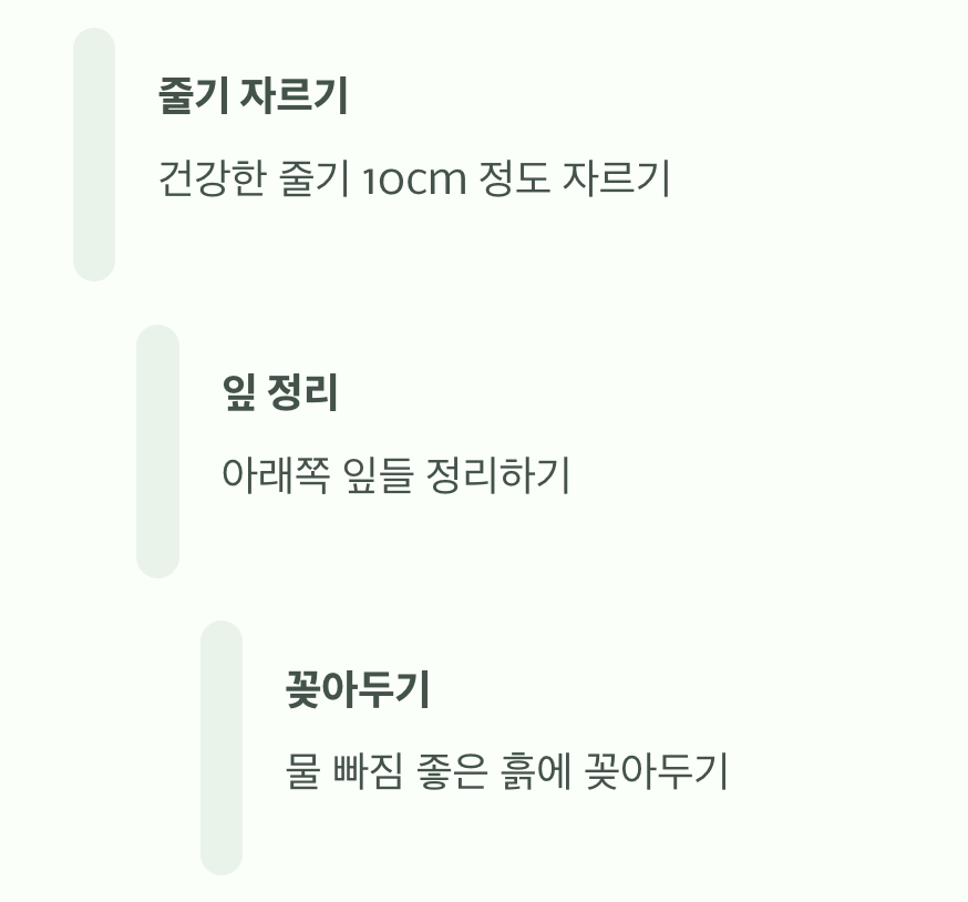 '꺾꽂이'만으로 무한 번식